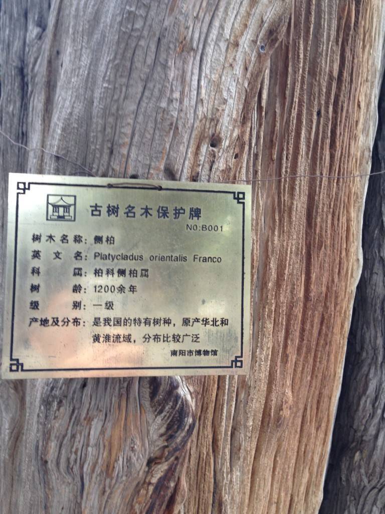 ACOUG校园行之—南阳理工站插图(4)